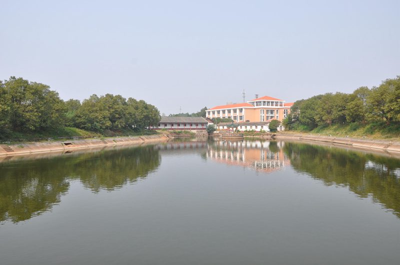 ���˾����˾�������