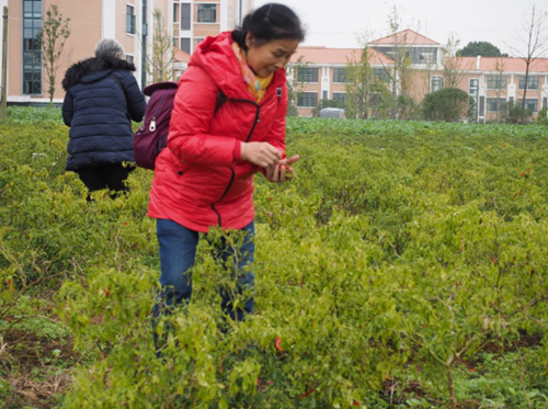 ÷��������¥Ͷ��ʹ�� 67���ָ��ھ��ϻ��߰�����¼�