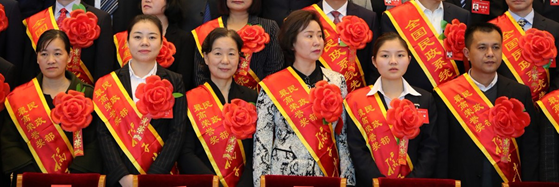 ���� | ��Ժ�ƽ�Ƽ�����������������������ţ����