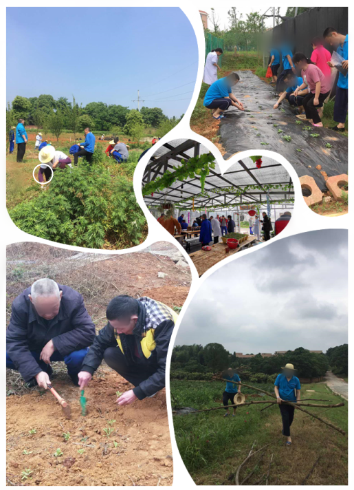 �߽�����