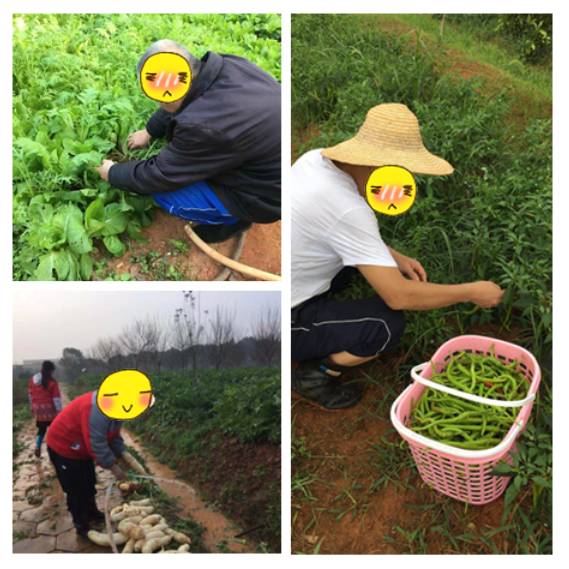 �߽�����