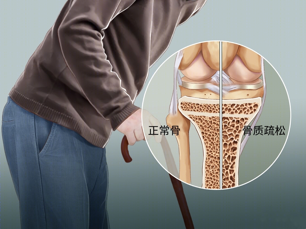 �������ɵĳ�������������������