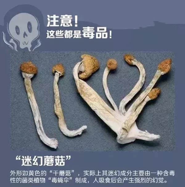 �´��ѽ�ϲ���󣬽�������������