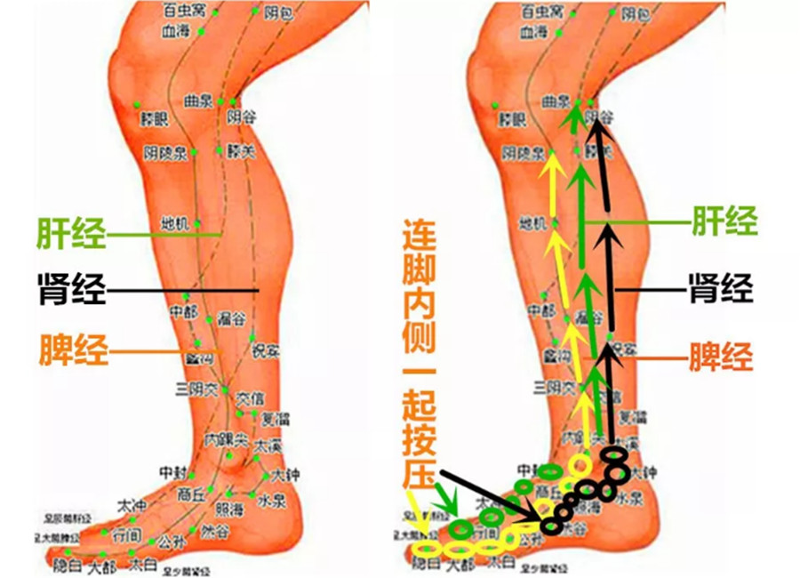春季-跟着岐黄学养生--如何应对春困