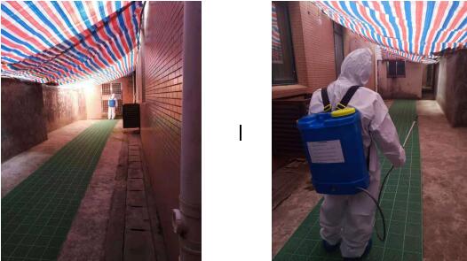 ����Ϊ������������