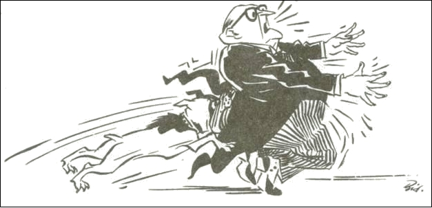 �ҵ�����������