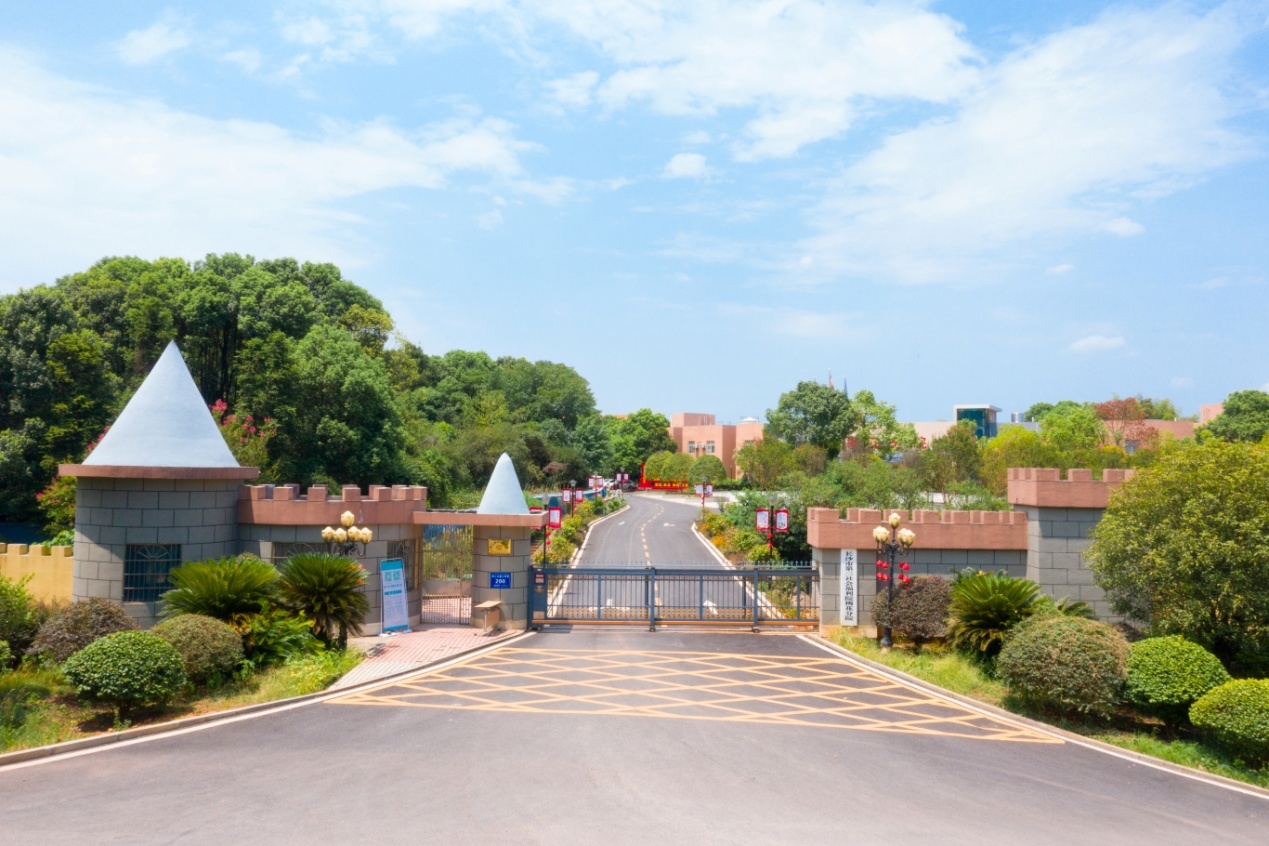 �����߽����񿵸��Ĵ���