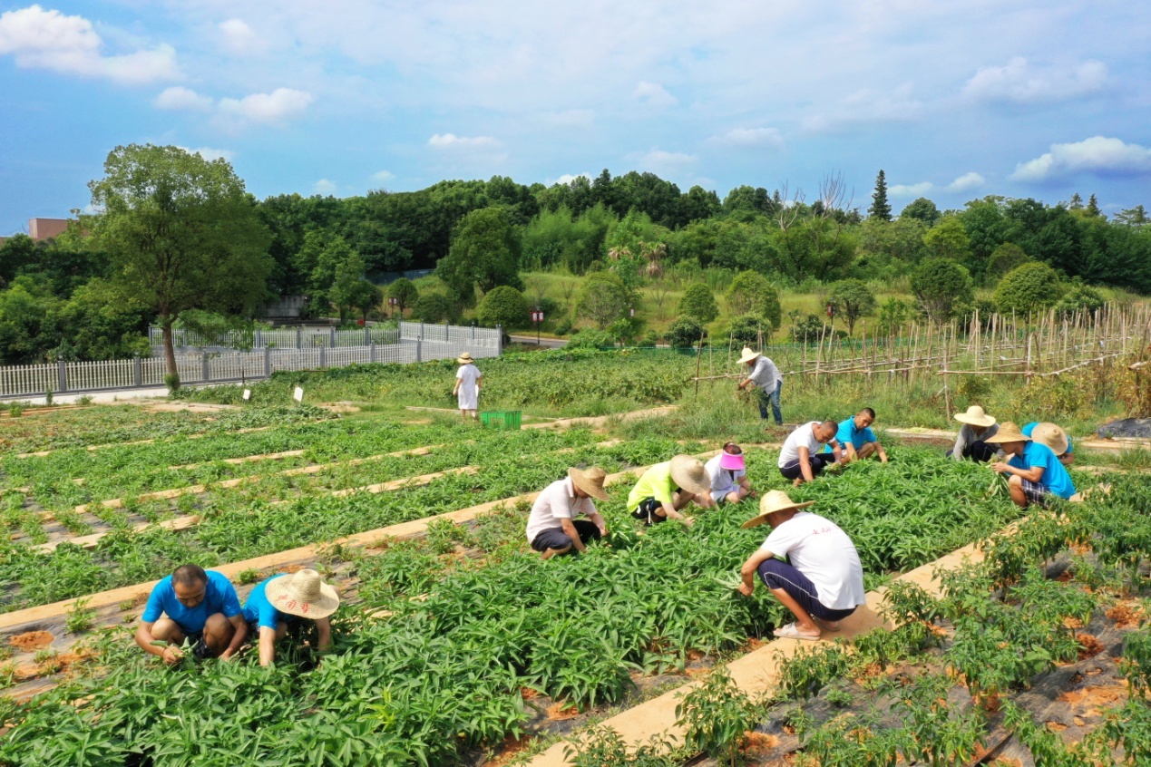 �����߽����񿵸��Ĵ���