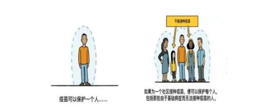 ���͹�״������֪��Ԥ��