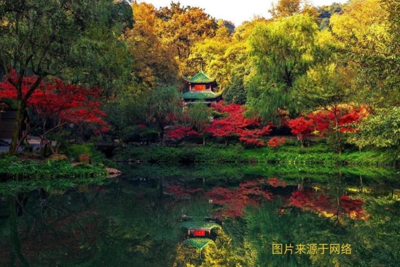 ˪��������֪��