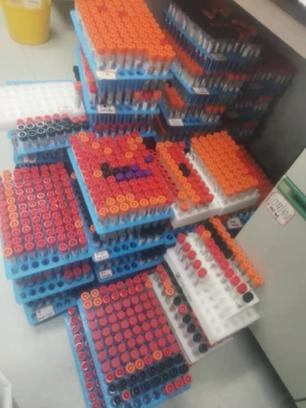 同心战疫 | 我在方舱做核酸