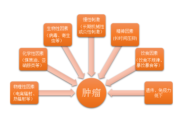 �緢�֣������ǲ���̸��ɫ��