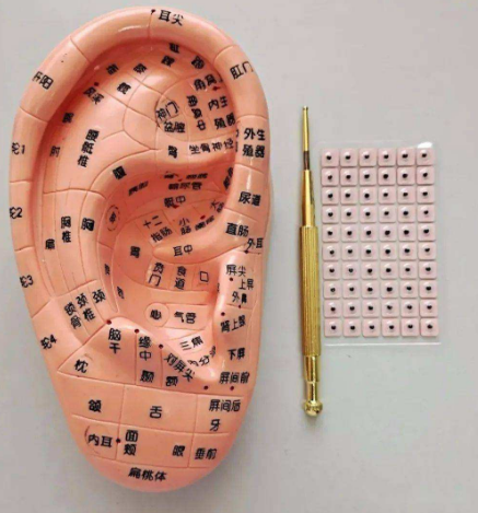 ��ҽ��ɫ���ơ�����Ѩѹ�����ٴ���Ӧ��