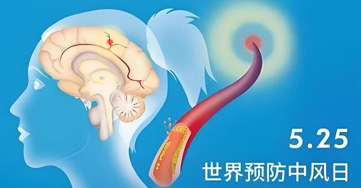 �����硱�Ž���̸���硱����ɫ��