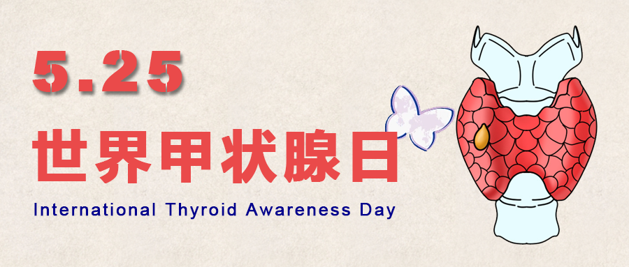 ��״�ٵĽ�������֪ʶ