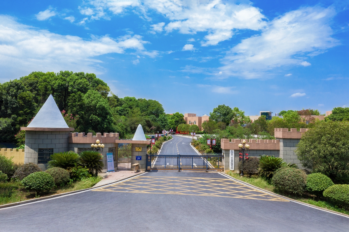 ÷��Ժ������