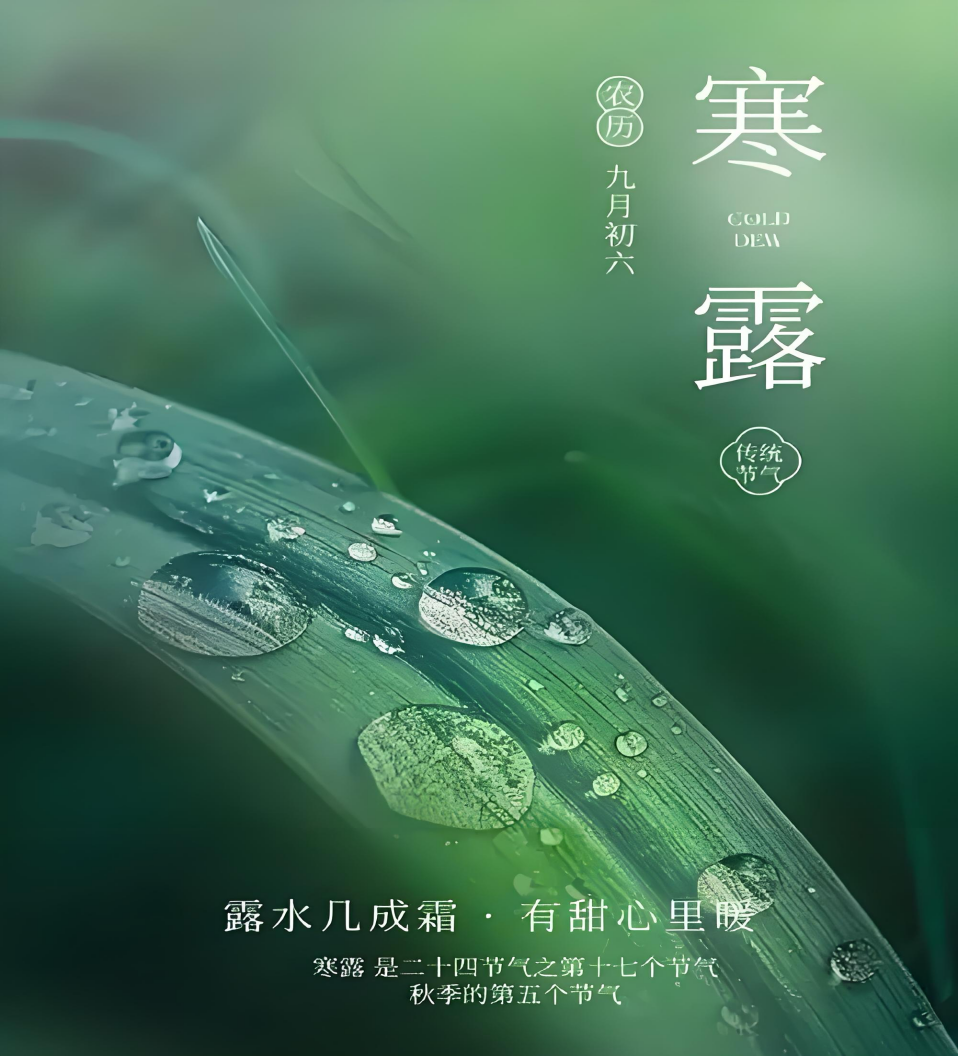 ��¶��������Ũ��������ס���ķ����ˡ�����������ܾ��﷦