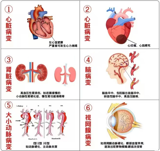 ȫ����Ѫѹ�� | ѪѹҪ֪������ѹҪ���